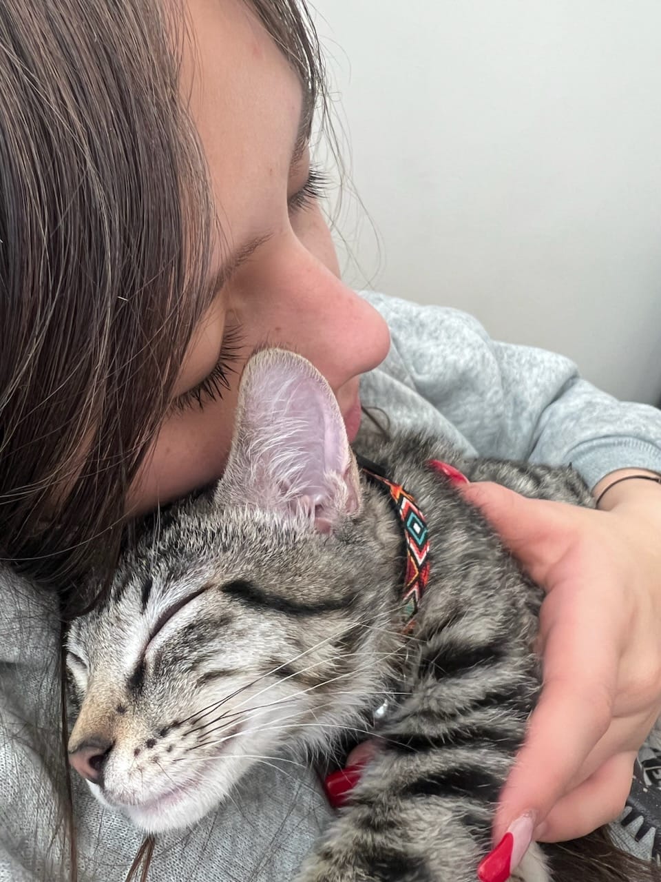 Katmandu Paonia Kitten Adopted