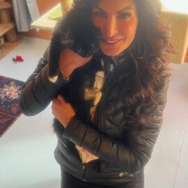 Chai Adopted